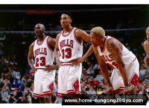 NBA王朝缔造者：选秀如何铸就球队传奇的故事